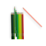 Le Botaniste - 12 NATURE Colouring Pencils and Cards