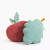 Apres la Pluie - Apple Cushion