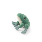 Tout autour... - Frog Soft Toy