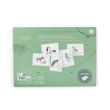 Tout autour... - Drawing Templates 24 pcs