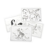 Tout autour... - Drawing Templates 24 pcs