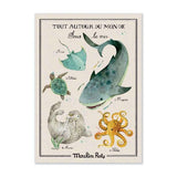 Moulin Roty - Tout Autour Du Monde - Sous la mer EN FRANCAIS / FRENCH ONLY Wall Art 50x70cm