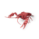 Tout autour... - 3D Puzzle CRAYFISH