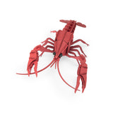 Tout autour... - 3D Puzzle CRAYFISH