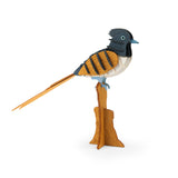 Tout autour... - 3D Puzzle Indian FLYCATCHER