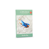 Tout autour... - 3D Puzzle Hercules BEETLE