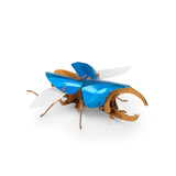 Tout autour... - 3D Puzzle Hercules BEETLE