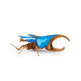 Tout autour... - 3D Puzzle Hercules BEETLE