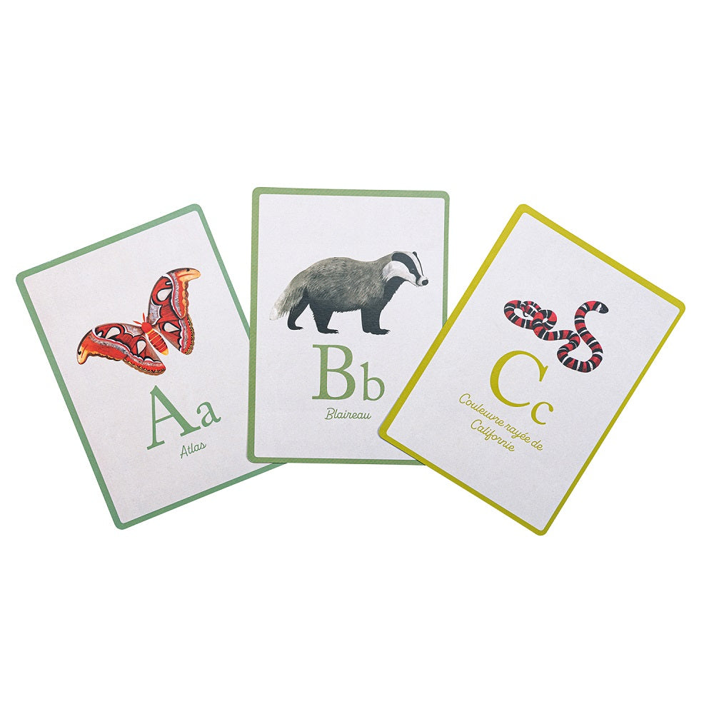 Tout Autour Du Monde - ABECEDAIRE des animaux FRENCH ONLY / EN FRANCAIS