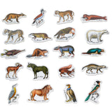 Museum national dHistoire naturelle - Buffon's Zoological Magnets