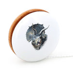 Museum National dHistoire Naturelle - Yoyo, Triceratops
