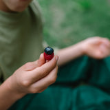 Wood Fruits