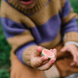 Wood Fruits