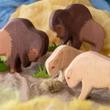 Bison