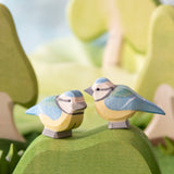 Blue Tit