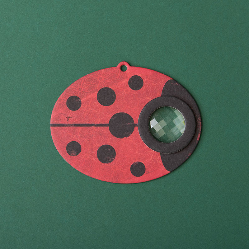Insect Eye - Ladybird