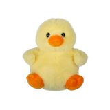 Chick Farm Friends