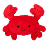 Crab Beach Friends