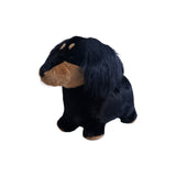 Soft Bouncy Sausage Dog