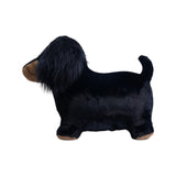 Soft Bouncy Sausage Dog