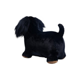 Soft Bouncy Sausage Dog