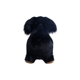 Soft Bouncy Sausage Dog