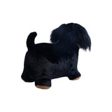 Soft Bouncy Sausage Dog