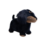 Soft Bouncy Sausage Dog