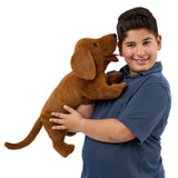 PRE-ORDER Dachshund Puppet
