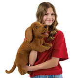 PRE-ORDER Dachshund Puppet