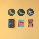 Game - Orangutan: Imitation and Memory Game