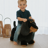 Soft Bouncy Sausage Dog
