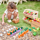 Fresh Produce Set B (Carrots, Zucchinis & Tomatoes)