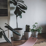 Kinderboard Rose