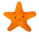 Starfish Beach Friends