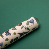 Kaleidoscope - Biodiversity Mix