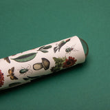 Kaleidoscope - Biodiversity Mix