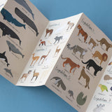 Puzzle - Animal Planet
