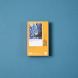 Tiny Puzzle - Starry Night by Van Gogh 100pc