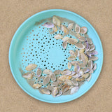 Flying Disc / Sand Sifter - Blue