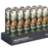 Kaleidoscope Grizzly Bear Canada Nature
