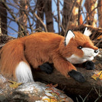 Small Red Fox