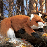 Small Red Fox