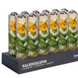 Kaleidoscope Canadensis Flower Canada Nature