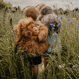 Backpack, Monkey