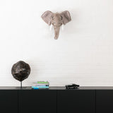 Head Large Elephant, George