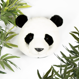 Head Large Panda, Thomas