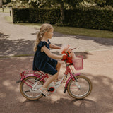 Scooter Head, Unicorn Pink