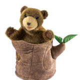 Bear in Tree Stump