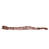 PRE-ORDER Boa Constrictor Puppet